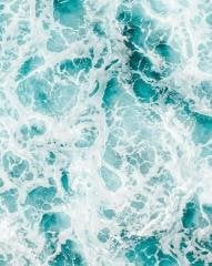 CP Sea Foam
