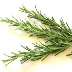 Biberiye Uçucu Yağı