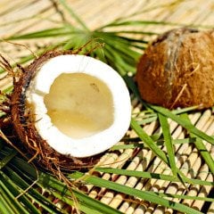 Hindistan Cevizi Yağı Trigliserid - Caprylic Capric Trigliserid